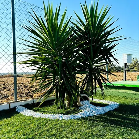 El Pequeno Oasis